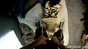 KymberlyJaneWedgie08POV_33